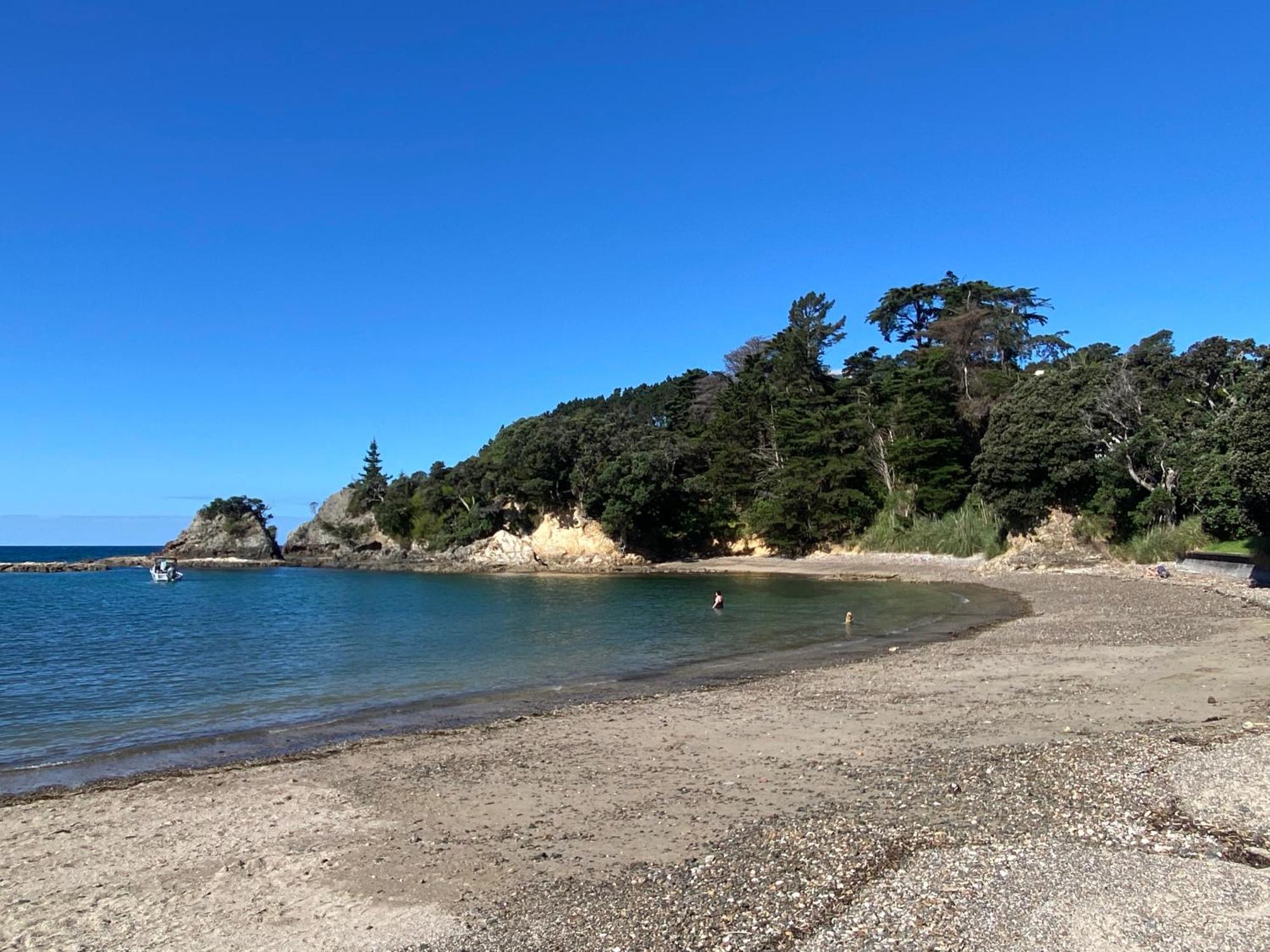 Kereru Cabin - Spectacular Seaviews, Rustic, Glamping Eco Adventure بالم بيتش المظهر الخارجي الصورة